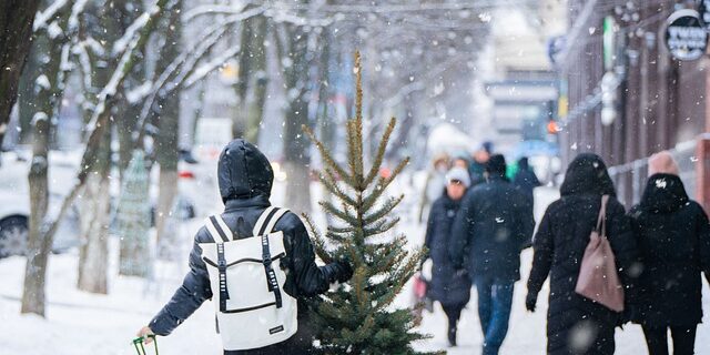 Sådan undgår du at juletræet drysser med det rette juletræstæppe